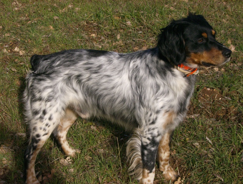 Publication : De La Ferme Du Claus Auteur : DEJULY CHARLES