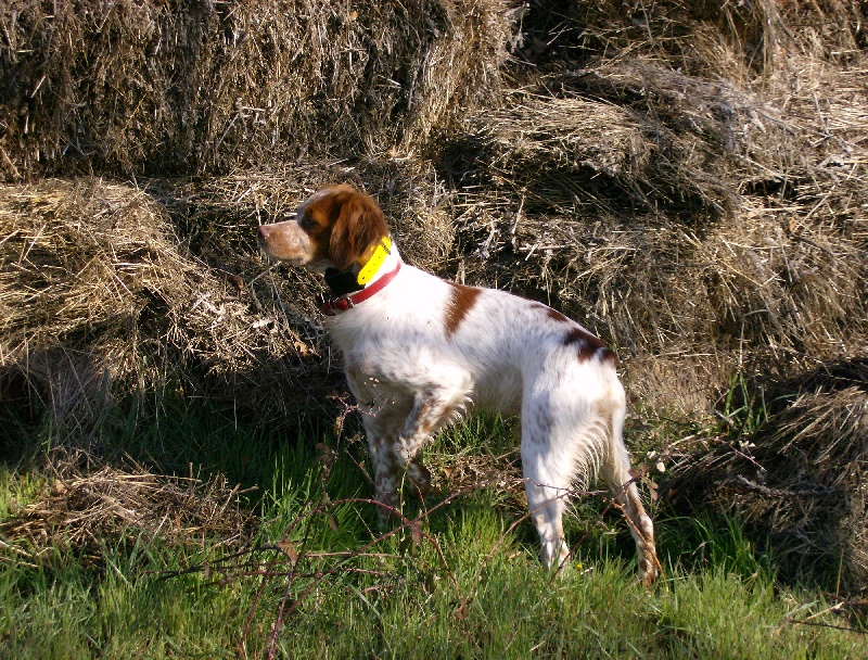 Publication : De La Ferme Du Claus Auteur : DEJULY CHARLES
