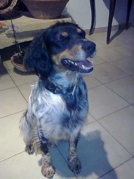 Publication : De La Ferme Du Claus Auteur : DEJULY CHARLES