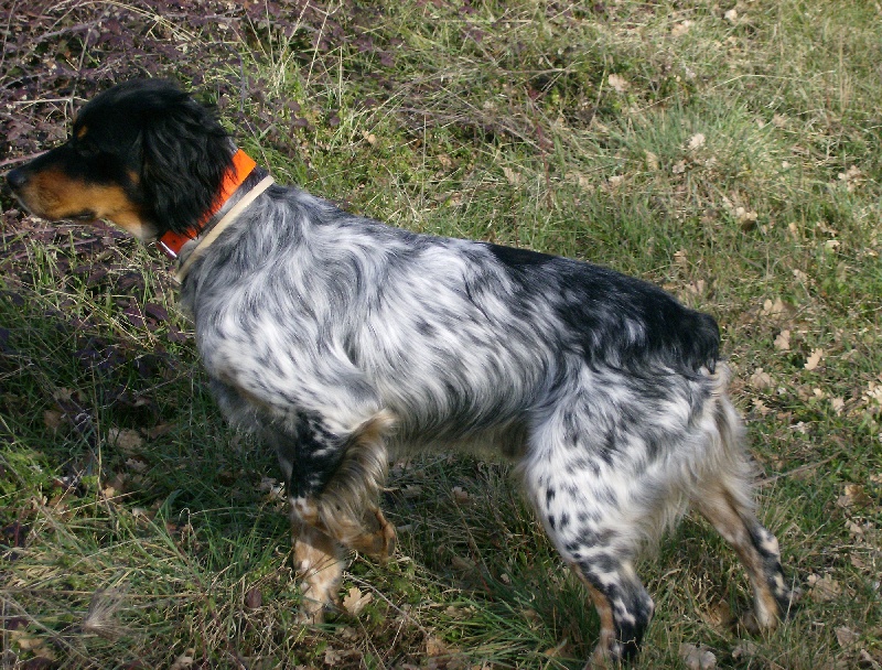 Publication : De La Ferme Du Claus Auteur : DEJULY CHARLES