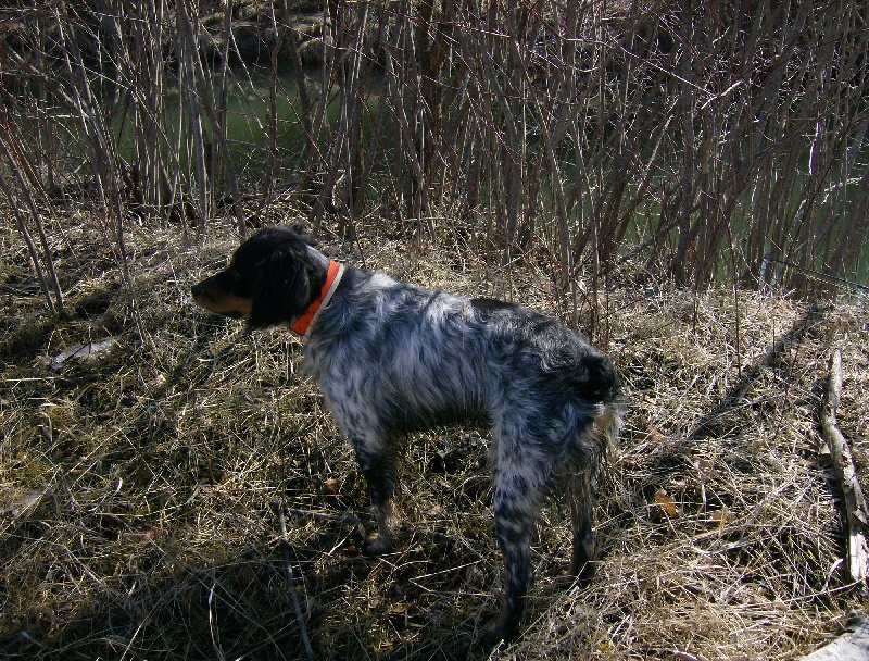 Publication : De La Ferme Du Claus Auteur : DEJULY CHARLES