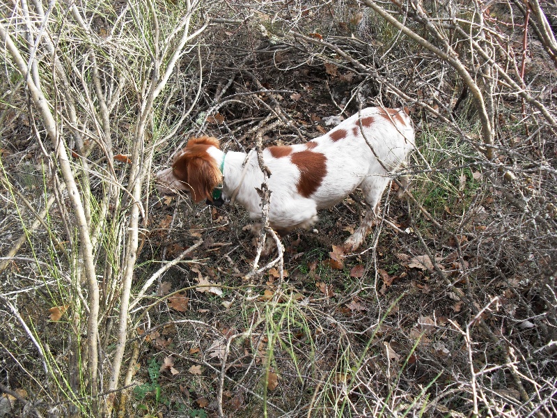 Publication : De La Ferme Du Claus Auteur : DEJULY CHARLES