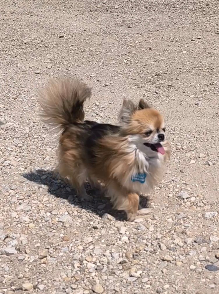 Publication : Des Jardins De Samalou