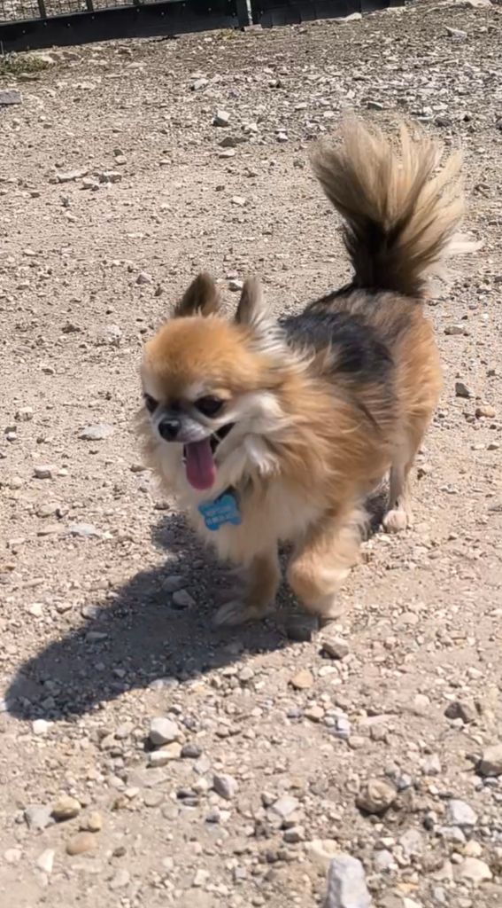 Publication : Des Jardins De Samalou