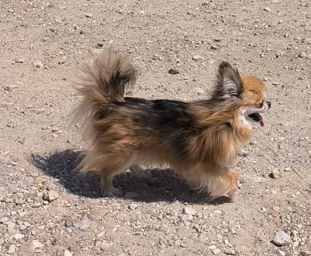 Publication : Des Jardins De Samalou