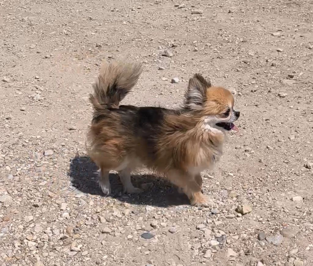 Publication : Des Jardins De Samalou