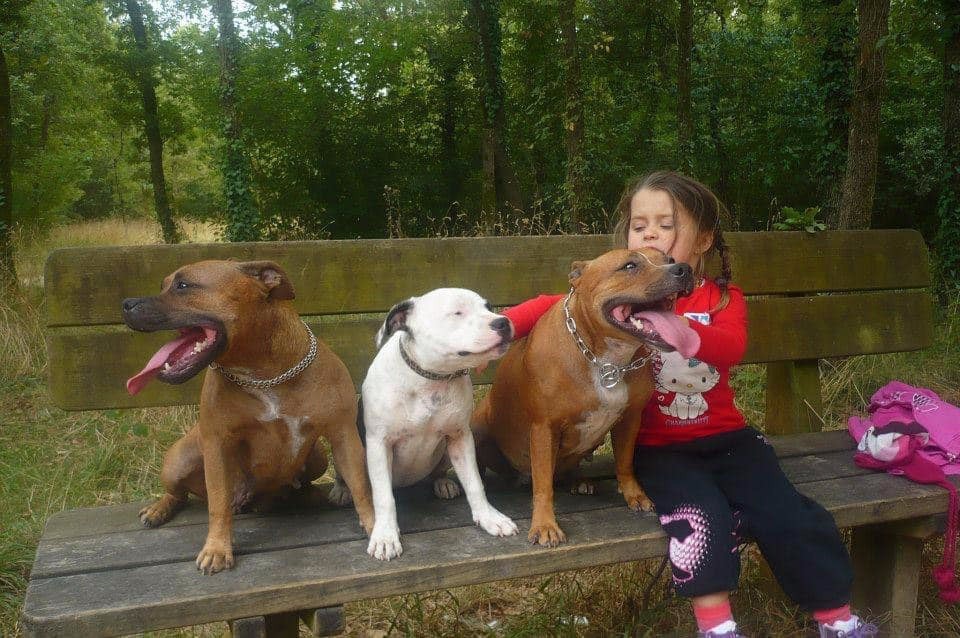 Publication : Of The Warriors Red Skins