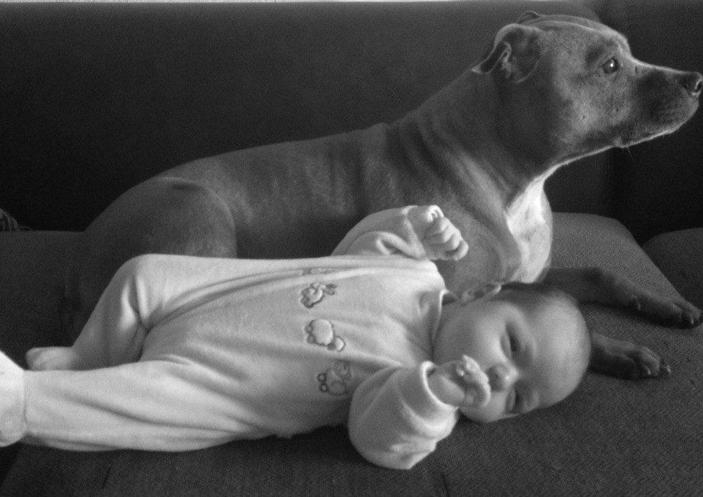 Publication : Of The Warriors Red Skins