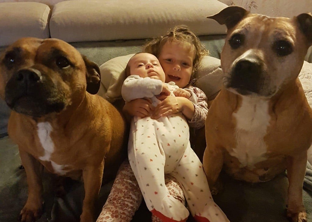 Publication : Of The Warriors Red Skins