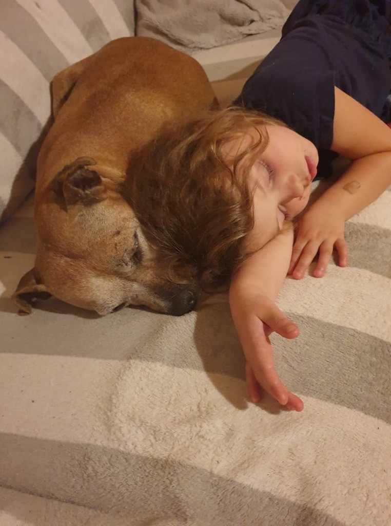 Publication : Of The Warriors Red Skins