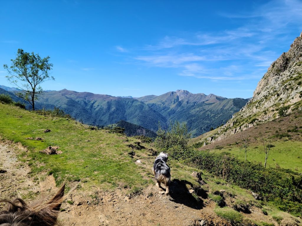 Sheyenne (Sans Affixe)