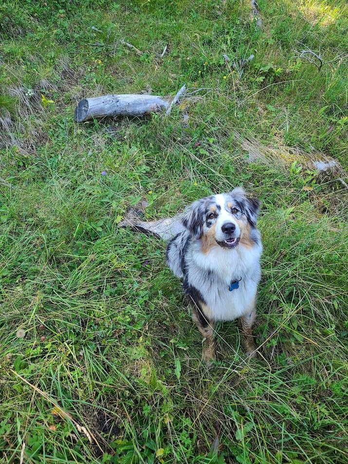 Sheyenne (Sans Affixe)