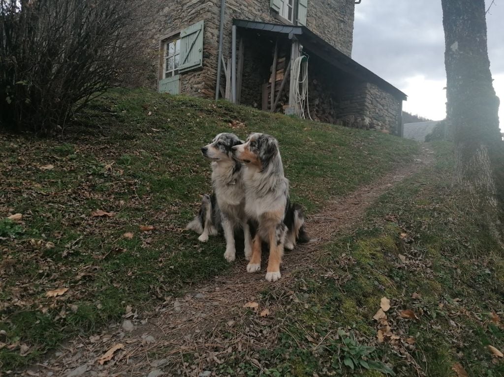 Sheyenne (Sans Affixe)