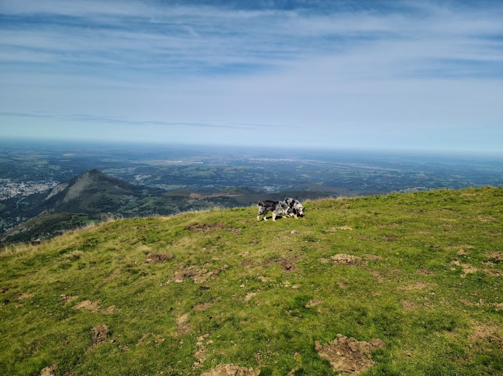 Sheyenne (Sans Affixe)