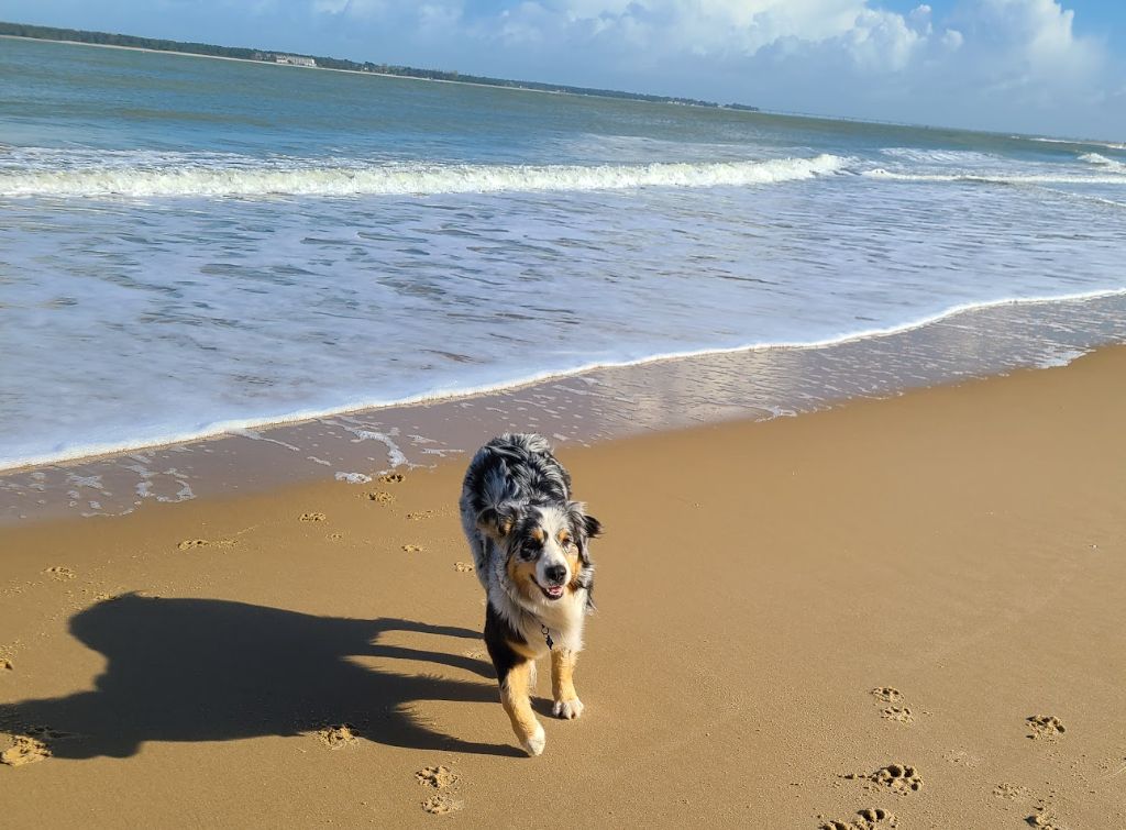 Sheyenne (Sans Affixe)