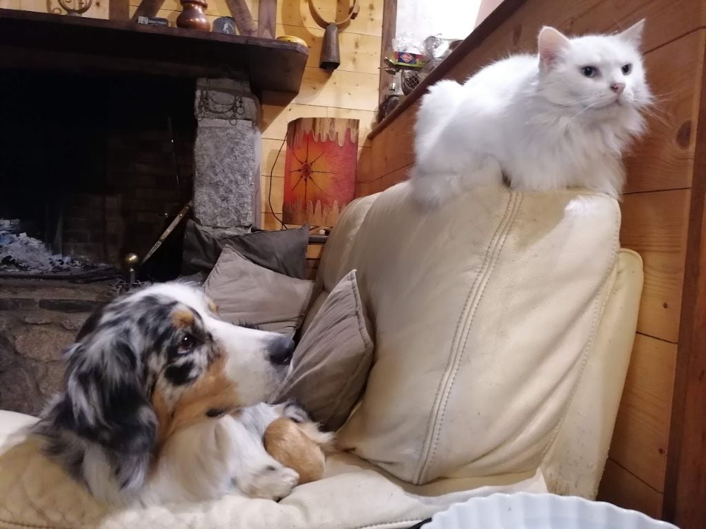 Sheyenne (Sans Affixe)