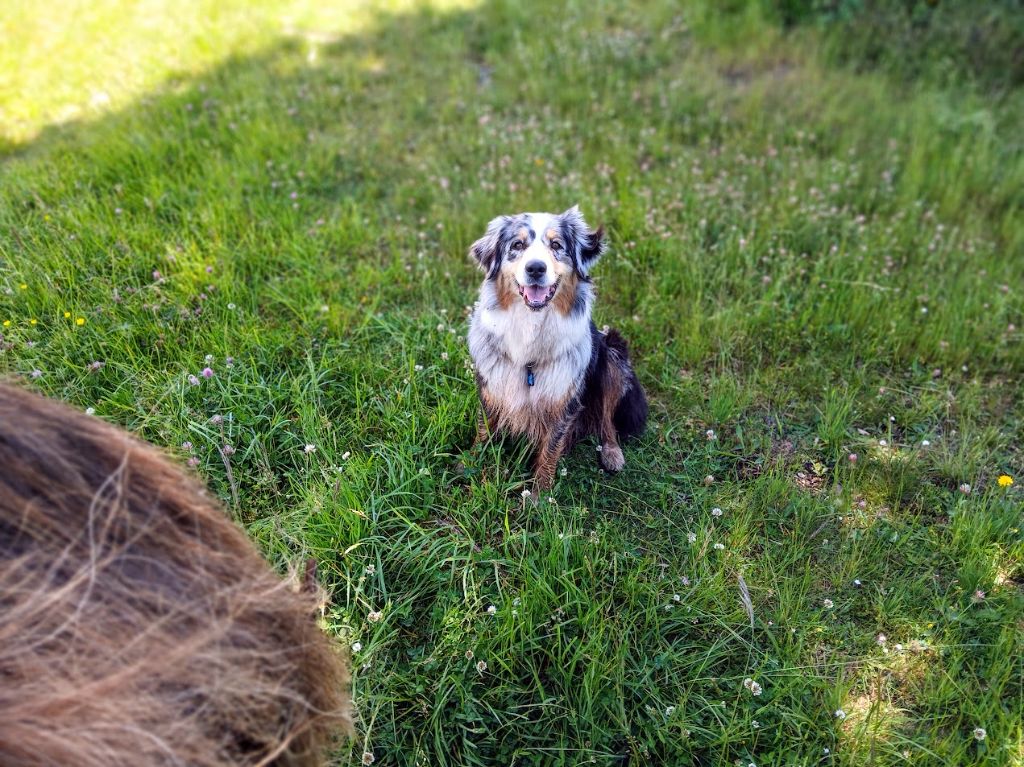 Sheyenne (Sans Affixe)