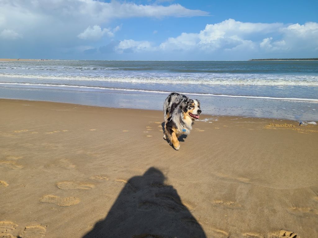 Sheyenne (Sans Affixe)