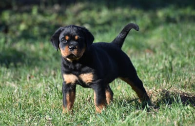 Sur La Voie De La Reconnaissance