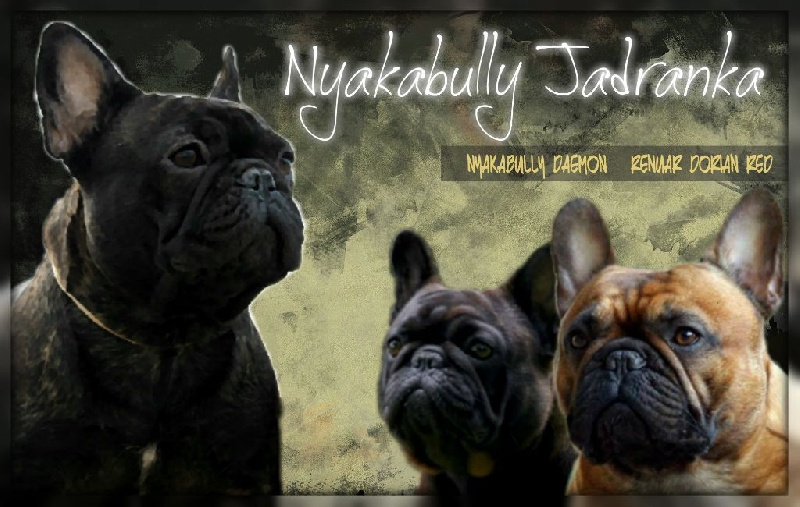 Publication : Des Boves De Vidocq