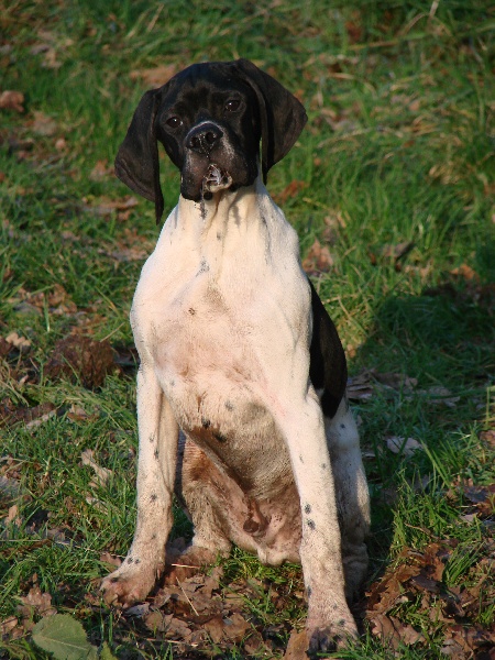 Havalon Des Bords Du Yar