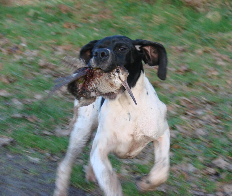 Havalon Des Bords Du Yar