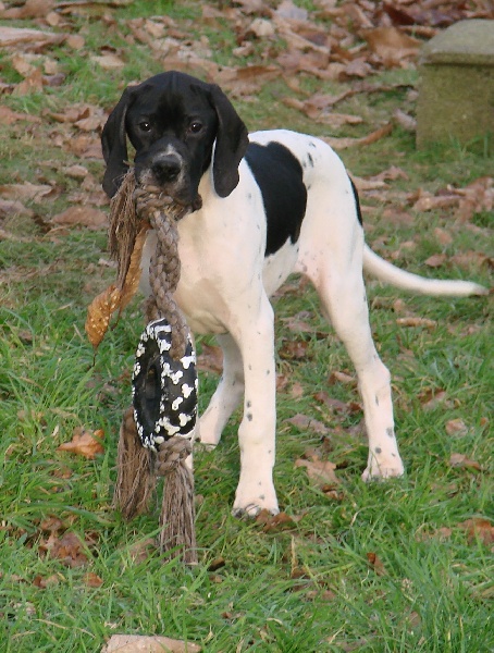 Havalon Des Bords Du Yar