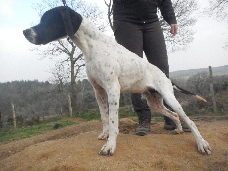 Lapse Des Bords Du Yar