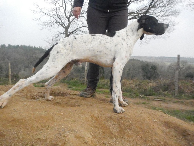 Lapse Des Bords Du Yar