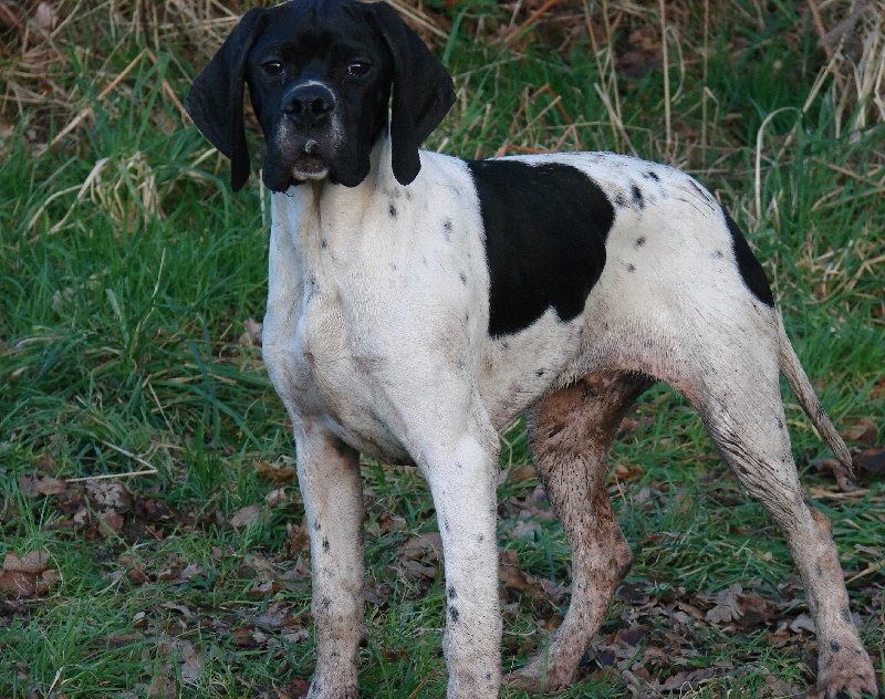 Havalon Des Bords Du Yar