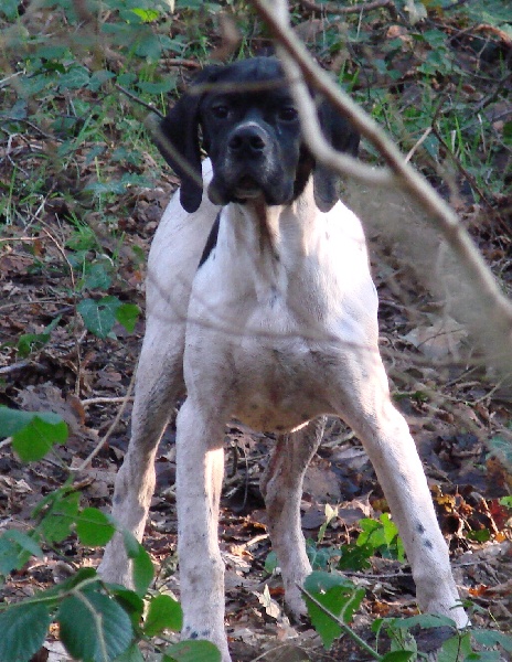 Havalon Des Bords Du Yar