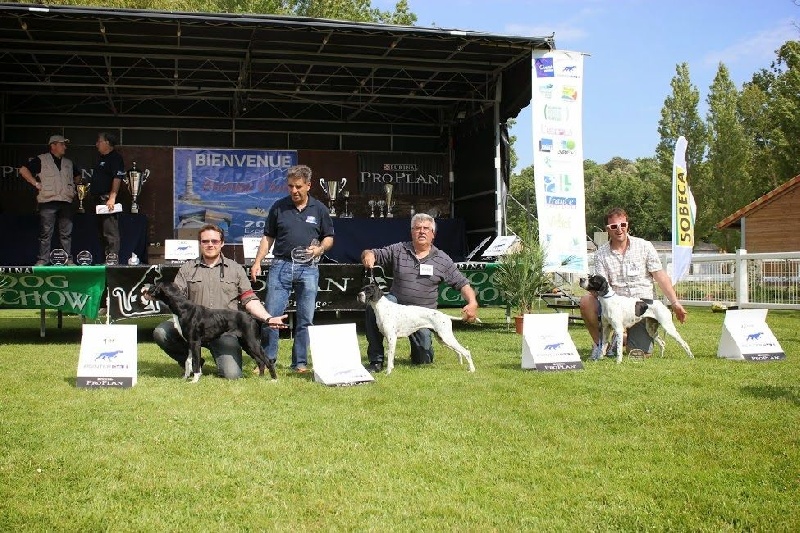 Harmoric Des Bords Du Yar - 1er excellent Classe Intermédiaire Femelle