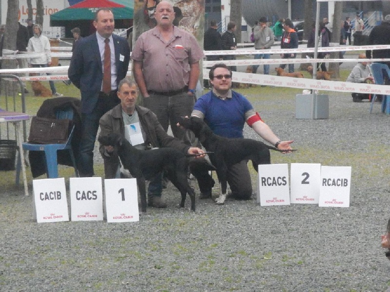 Harmoric Des Bords Du Yar - 1er EXC RCACS RCACIB