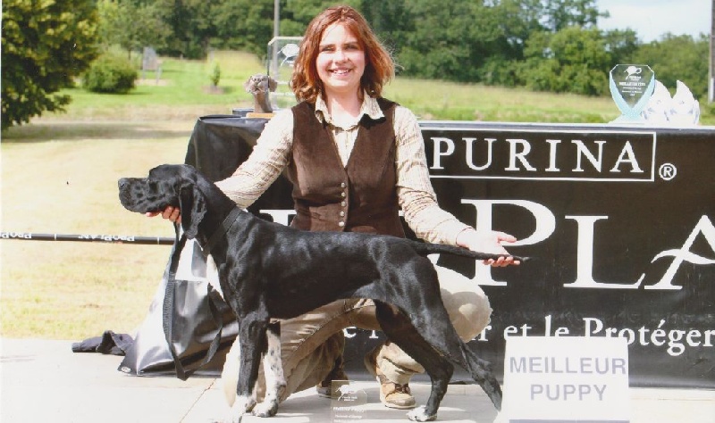 Harmoric Des Bords Du Yar - Très prometteur