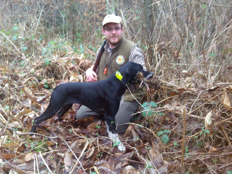 Harmoric Des Bords Du Yar - 2ème Exc. (classe ouverte)