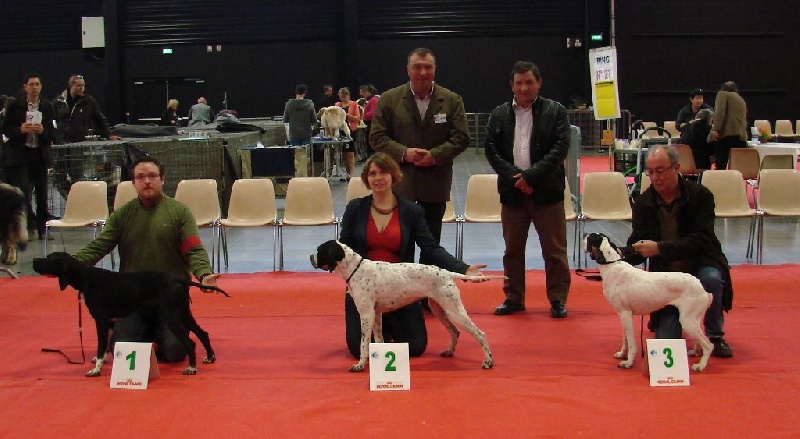 Harmoric Des Bords Du Yar - 1er excellent Classe Intermédiaire Femelle