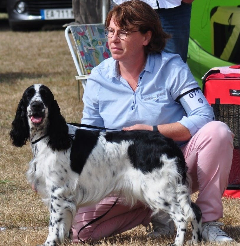 Publication : Du petit coin tranquil Auteur : Du Petit Coin Tranquil