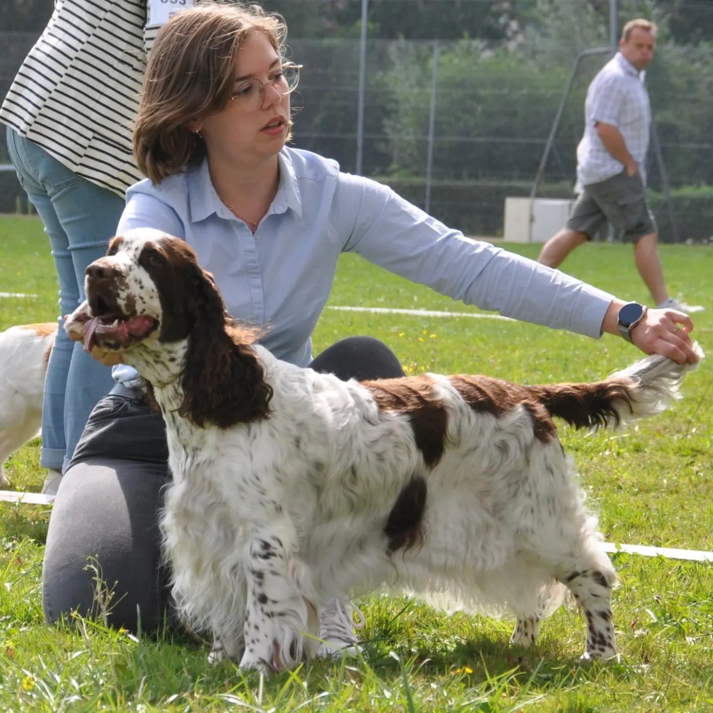 Publication : Du petit coin tranquil Auteur : Du Petit Coin Tranquil