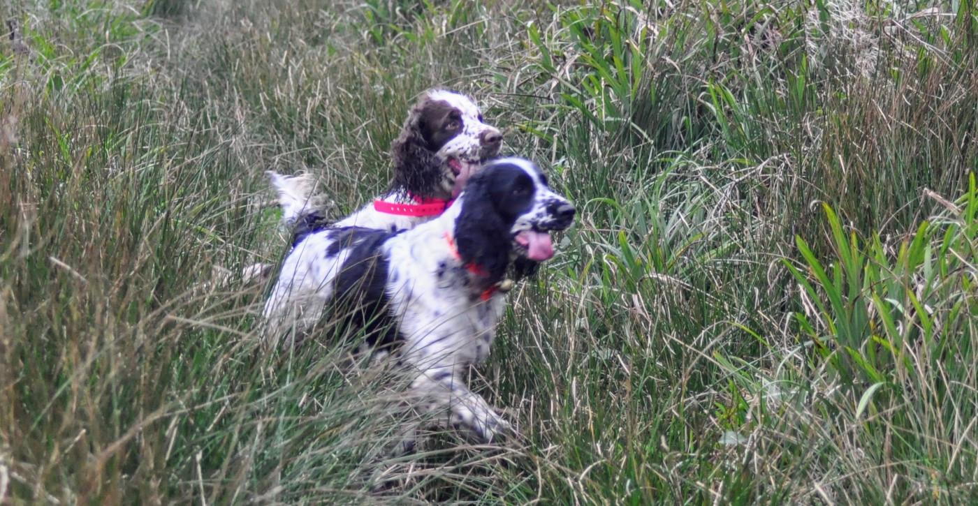 Publication : Du petit coin tranquil Auteur : Du Petit Coin Tranquil