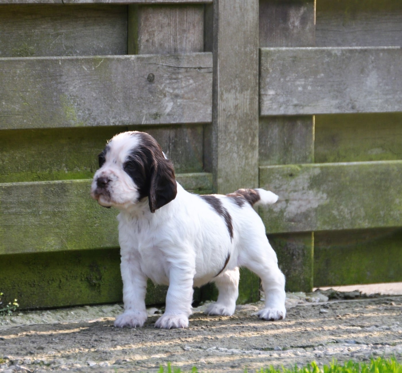 Publication : Du petit coin tranquil Auteur : Du Petit Coin Tranquil