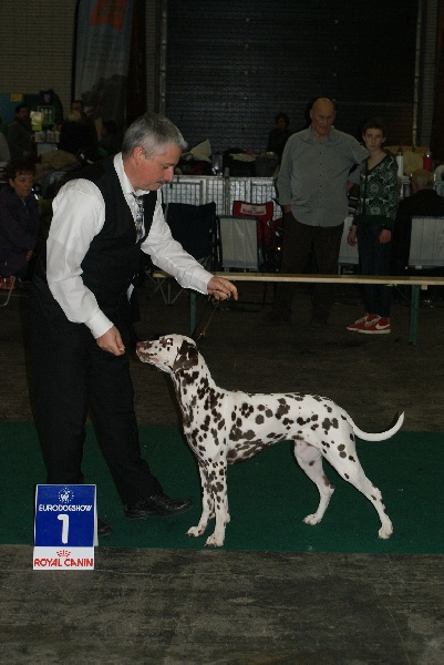 Kenya per makuli - Classe intermédiaire: 1° EXCELLENT