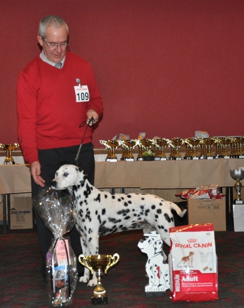 Jacky's Smiling Valdaï - classe vétéran: 1° excellent