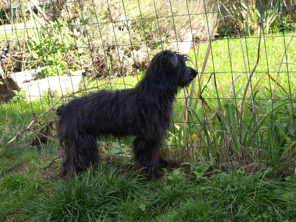 Publication : Du Val Des Belettes Auteur : Val des Belettes