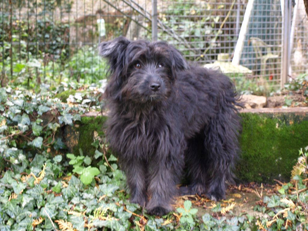 Publication : Du Val Des Belettes Auteur : Val des Belettes