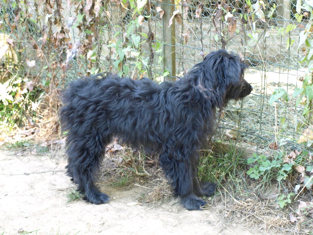 Publication : Du Val Des Belettes Auteur : Val des Belettes