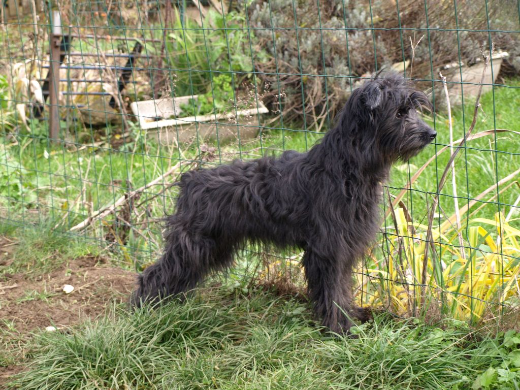 Publication : Du Val Des Belettes Auteur : Val des Belettes