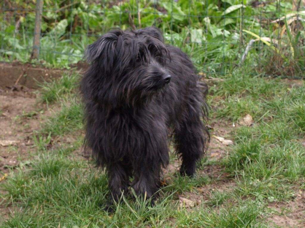 Publication : Du Val Des Belettes Auteur : Val des Belettes