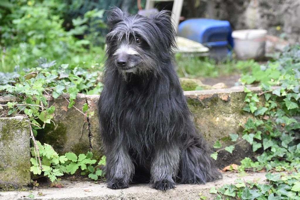 Publication : Du Val Des Belettes Auteur : Val des Belettes