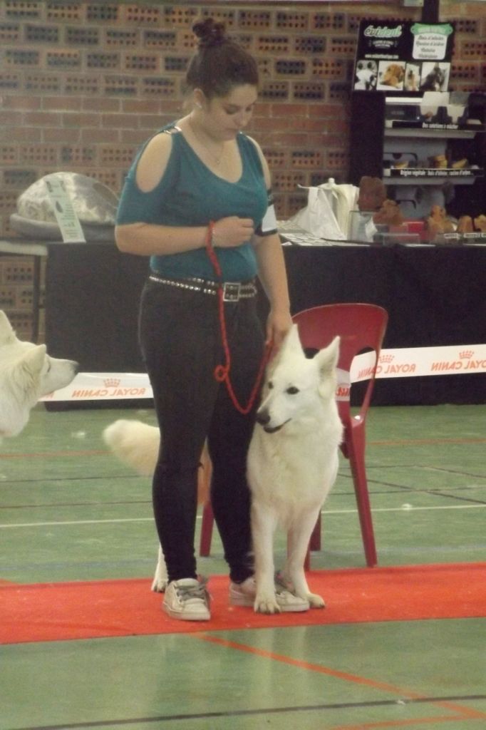 Mafia De La Champagne Picarde - excellent