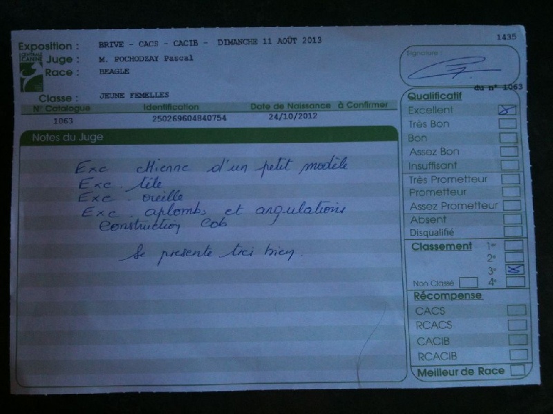 Havanna (Sans Affixe) - 3° Excellent